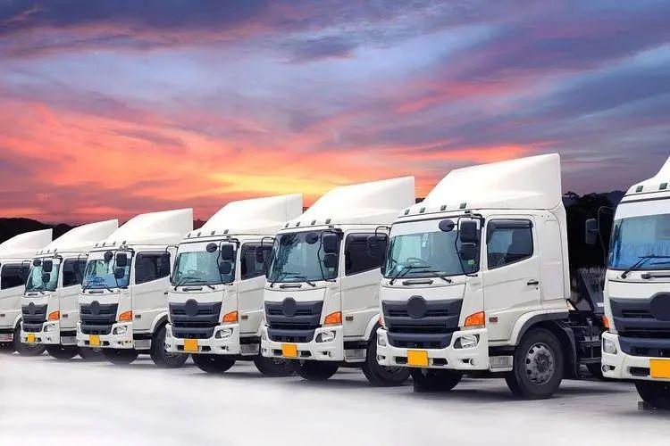 5_$1718085664786002012.jpg 5.jpg